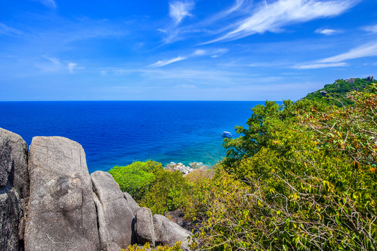 海島 南園島