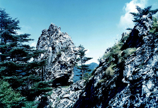 湖北神農(nóng)架風(fēng)光