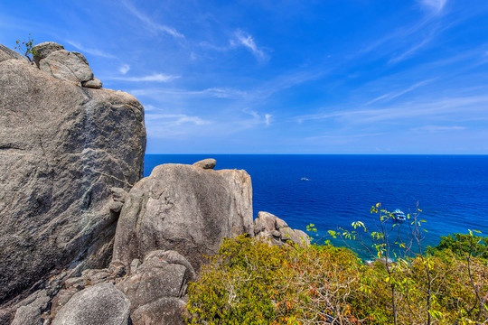 海島 南園島
