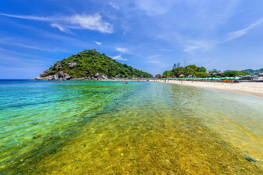 南園島 海島