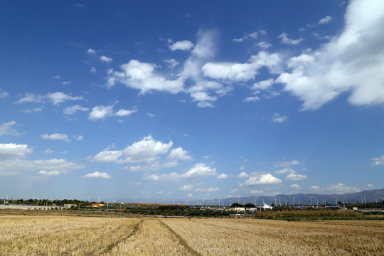 農(nóng)田