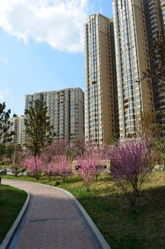 小區(qū)