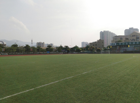 體育館 足球場 草地