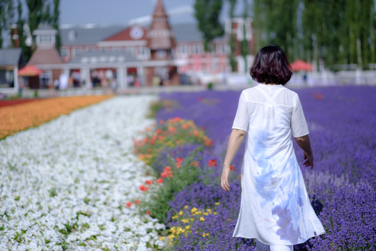 薰衣草之旅
