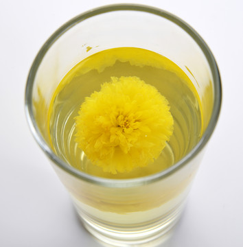皇菊 菊花茶