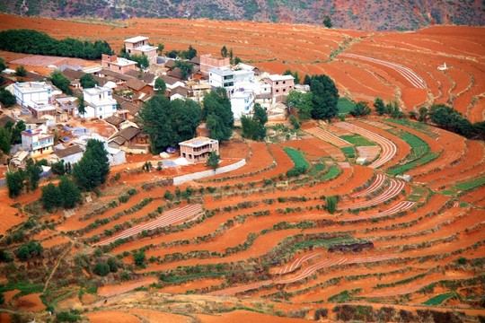 山寨