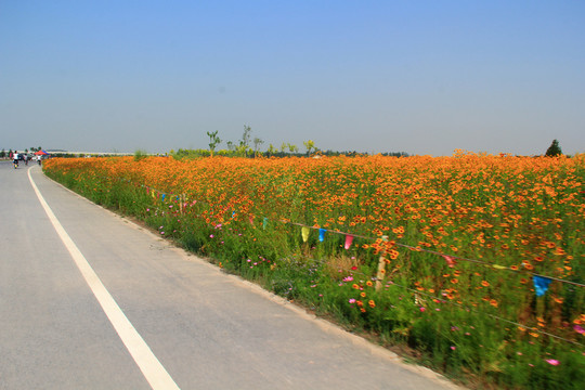 天路 公路綠化 景觀路