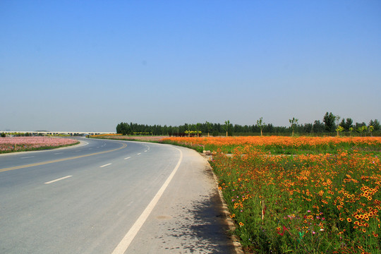 公路綠化 景觀路 天路