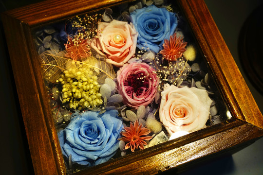 七彩玫瑰花