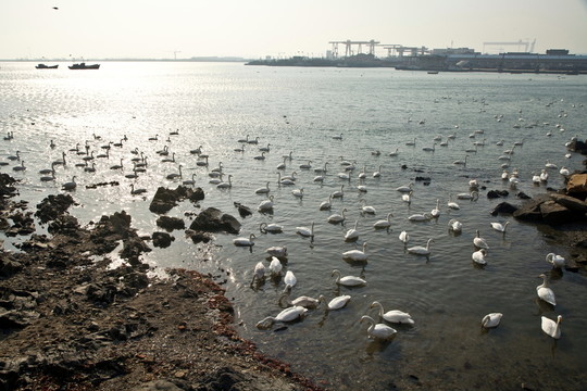 煙墩角