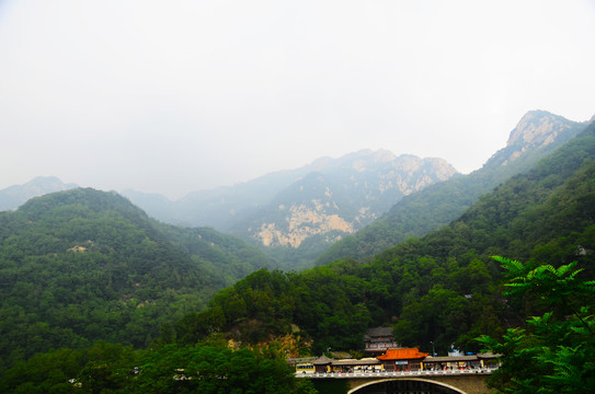 泰山