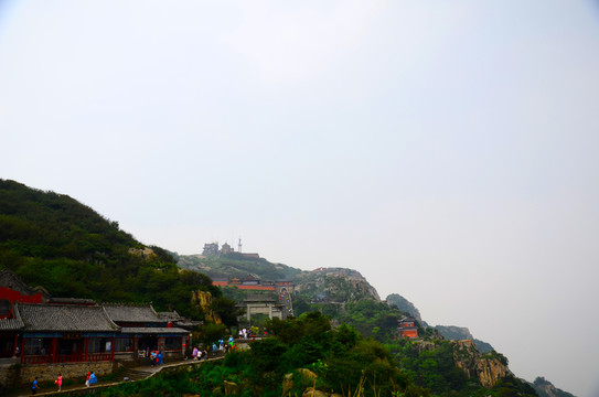 泰山