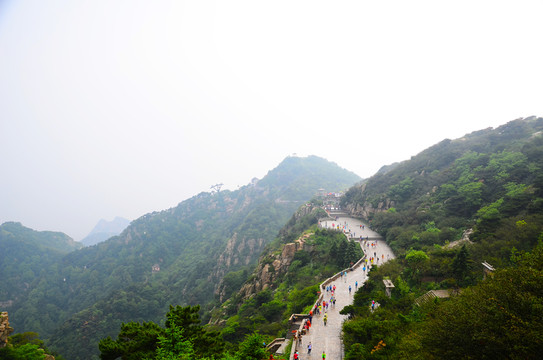 泰山