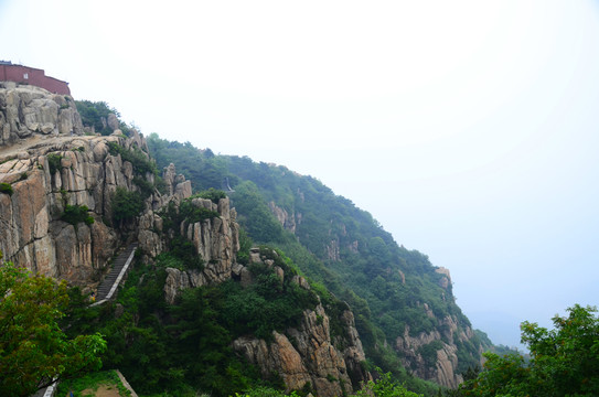 泰山