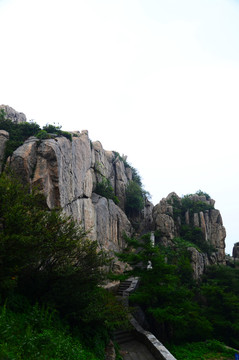 泰山