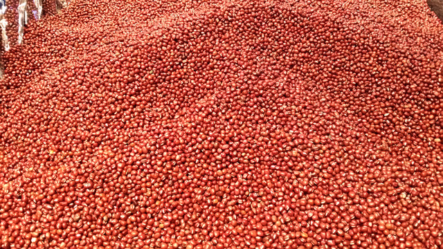紅豆