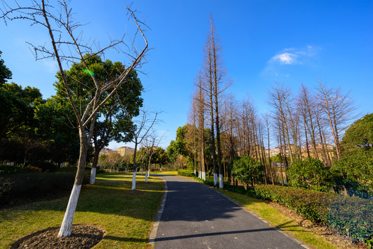 公園綠地