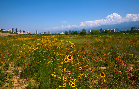 城市風景