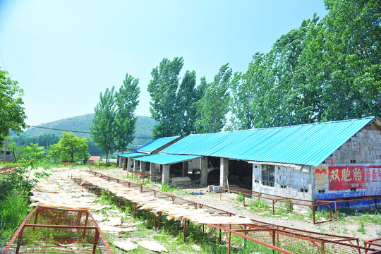 板材廠  木材加工廠