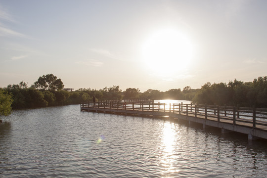 夕陽(yáng)濕地棧道