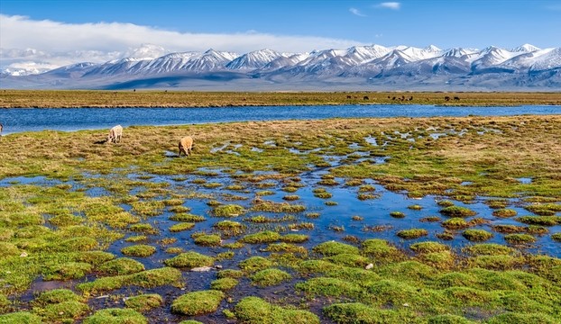 和靜巴音布魯克濕地
