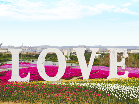 love花園