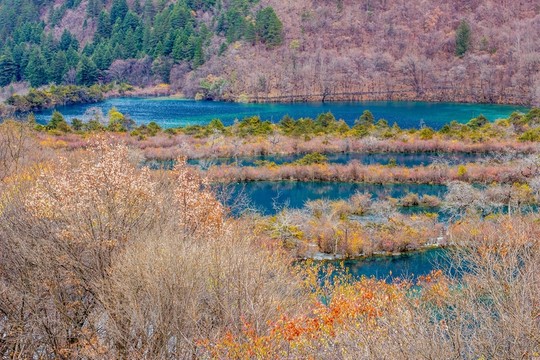 九寨溝樹正溝