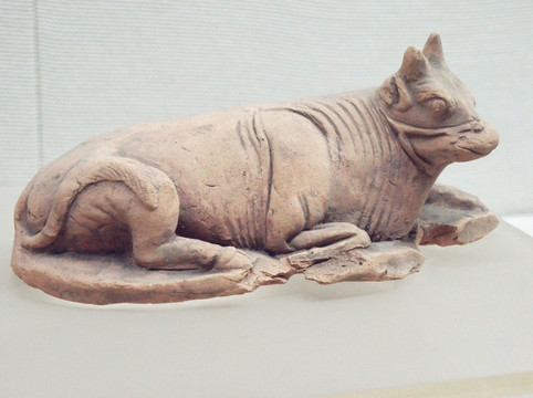 白陶塑牛 唐 泗水出土