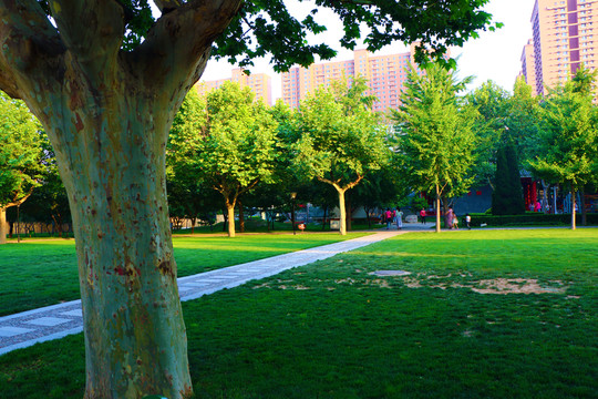 公園小路