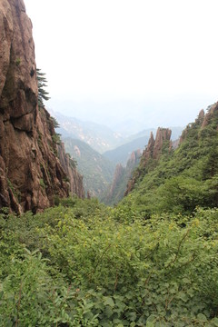 黃山