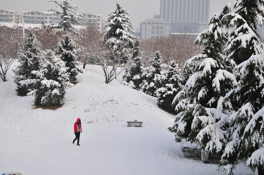 冬天的雪