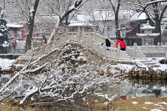 公園雪景