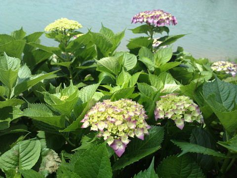 春暖花開