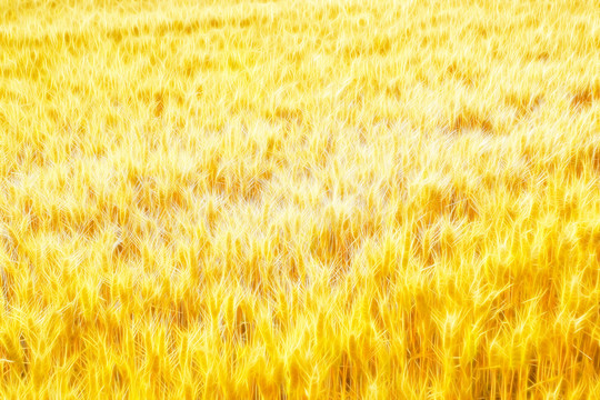 抽象畫