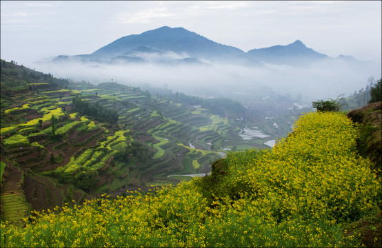高山春色美