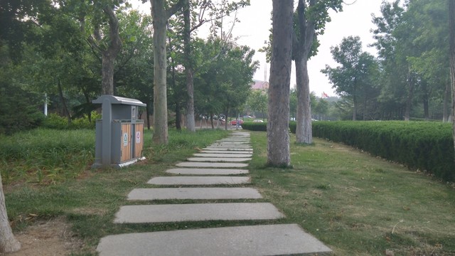 公園中的小路