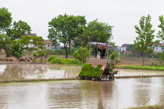 現(xiàn)代化插秧機(jī)