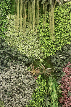植物墻 綠葉背景 綠化墻 花紋