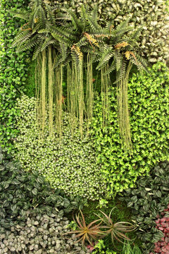 植物墻 綠葉背景 綠化墻 花紋