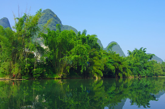 風(fēng)景 綠竹