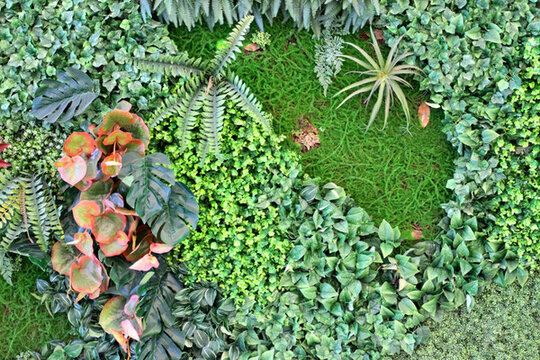 植物墻 綠葉背景 綠化墻 花紋