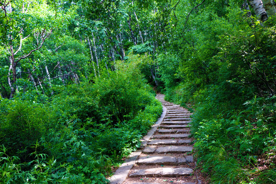 石階小路
