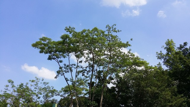 藍天白云