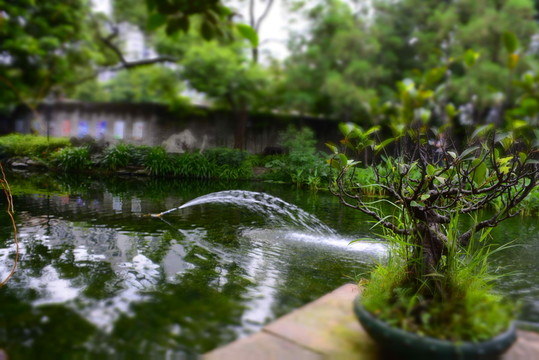 佛山梁園