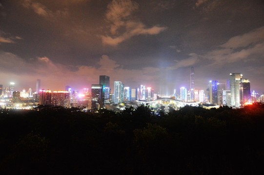 蓮花山公園夜景
