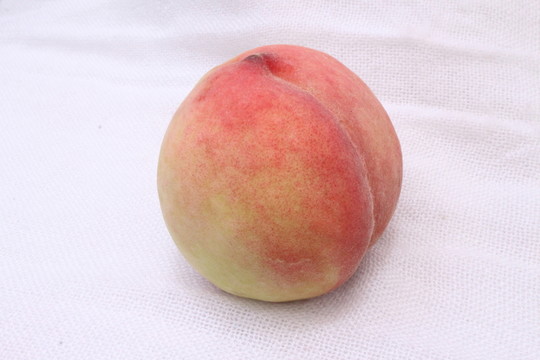 桃子