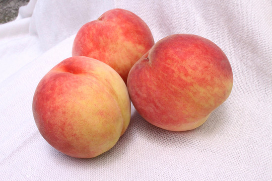 桃子