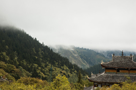 黃龍