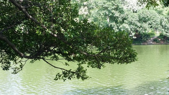 天河公園