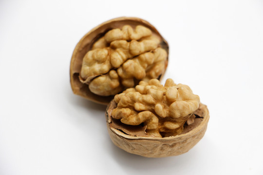 核桃仁